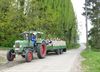 Neerpelt - Met de groeten uit... de fruitstreek