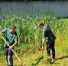 Bocholt - School en gemeente werken samen