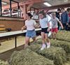 Hamont-Achel - Scholenrun tussen twee scholen