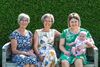 Hamont-Achel - Vier generaties in Hamont