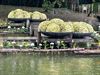Beringen - Femma Koersel bezoekt de Japanse tuin in Hasselt