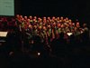 Overpelt - 'Warme' Winterproms in Palethe