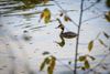 Lommel - Reflecties... op deze eerste november