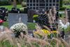 Beringen - Bloemen in alle kleuren