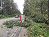 Beringen - Veel oproepen voor stormschade