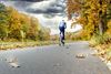 Lommel - Herfst langs het kanaal