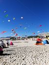 Pelt - Met vakantiegroeten uit... Fuerteventura