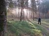 Beringen - Wandeling in het ochtendlicht