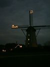 Neerpelt - Vandaag gezien...