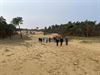 Peer - Wandelen in de Duinen