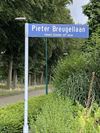 Peer - Nederlanders geven toe: Breugel is Belgisch