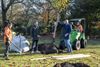 Lommel - Stad gaat 119 bomen planten