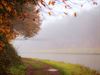 Lommel - Mist, het levert mooie foto's op