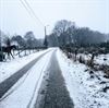 Pelt - Sneeuw in de Olmenstraat