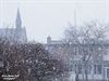 Hamont-Achel - De schoonheid van sneeuw