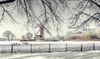 Lommel - De Leyssensmolen in winterpracht