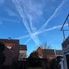 Hamont-Achel - De ster van de dag: Hamont-Achel