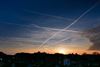 Beringen - Zacht winterweer