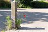 Hamont-Achel - Gisteren gezien...
