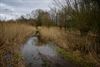 Pelt - Wandelen of zwemmen?
