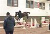 Leopoldsburg - Vrijspringen bij Dagen van het Paard