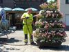 Hamont-Achel - Vandaag gezien...