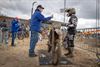Lommel - Internationaal VLM/JMS openingstreffen motorcross