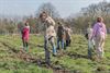 Pelt - Boomplantactie in het Hobos