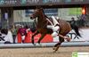 Oudsbergen - Horseball in Sentower Park: spectaculair!