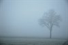 Neerpelt - Mist en koude