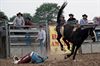 Neerpelt - Man naar ziekenhuis na rodeostunt