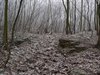 Neerpelt - Rarara...