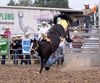 Neerpelt - Kritiek op Amerikaanse rodeo