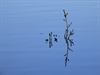 Lommel - Kunst in het water