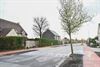 Lommel - Heide (even) terug helemaal open