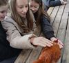 Peer - Leerlingen op boerderijbezoek