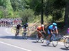 Neerpelt - Het aanstormend peloton