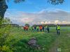 Pelt - Sportwandelen, da's doorstappen!