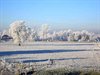 Neerpelt - Nog even wat 'koude' foto's