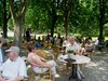 Neerpelt - Vandaag gezien...
