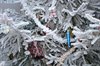 Lommel - Kerstviering voor een goed doel