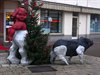 Neerpelt - Een steuntje voor de kerstboom