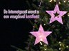 Pelt - Een fijne Kerstmis!