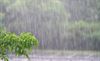 Peer - Problemen door hevige wind en regenval