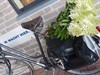 Hamont-Achel - Gisteren gezien...