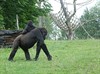 Neerpelt - Met de groeten uit... Kerkrade
