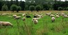 Lommel - Vandaag gezien...