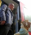 Neerpelt - Vandaag gezien...