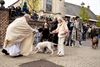 Oudsbergen - Vrijdag start van Neerglabbeekse feesten