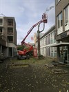Neerpelt - Boom geveld voor Forté